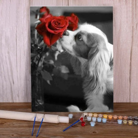 Kit de peinture par numero - Cavalier King Charles à la Rose Éclatante
