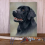 Kit de peinture par numero - Labrador Noir au Regard Noble