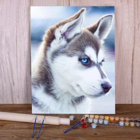 Kit de peinture par numero - Husky Sibérien aux Yeux d'Azur