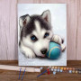 Kit de peinture par numero - Chiot Husky Joueur à la Balle Bleue