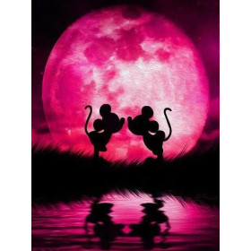 Kit de peinture par numero - Lever de Lune Rose