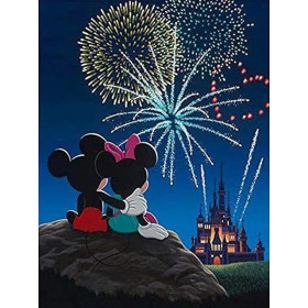 Kit de peinture par numero - Couple Féerique sous les Feux d'Artifice