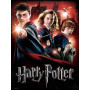 Kit de peinture par numero - Harry Potter : Le Trio et les Maîtres de Poudlard