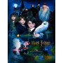 Kit de peinture par numero - Harry Potter : Le Poudlard Express et l'École des Sorciers