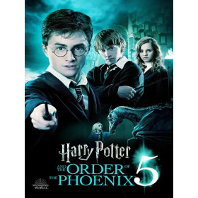 Kit de peinture par numero - Harry Potter et l'Ordre du Phénix : Le Rassemblement