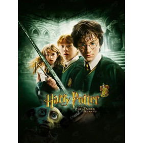 Kit de peinture par numero - Harry Potter et la Chambre des Secrets : Dobby et l'Épée de Gryffondor