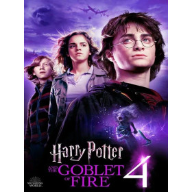 Kit de peinture par numero - Harry Potter et la Coupe de Feu : Le Tournoi des Trois Sorciers