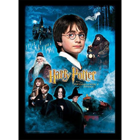 Kit de peinture par numero - Harry Potter à l’École des Sorciers Affiche de la Saga