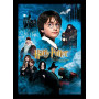 Kit de peinture par numero - Harry Potter à l’École des Sorciers Affiche de la Saga