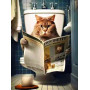Kit de peinture par numero - Chat aux Toilettes
