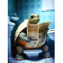 Kit de peinture par numero - Tortue Philosophe
