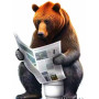 Kit de peinture par numero - Ours Brun aux Toilettes