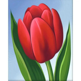Kit de peinture par numero - Tulipe Rouge Éclatante : Élégance et Simplicité