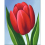 Kit de peinture par numero - Tulipe Rouge Éclatante : Élégance et Simplicité