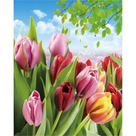 Kit de peinture par numero - Tulipes de Printemps Multicolores