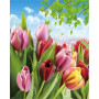 Kit de peinture par numero - Tulipes de Printemps Multicolores