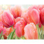 Kit de peinture par numero - Peinture par Numéros Jardin de Tulipes sous le Feuillage