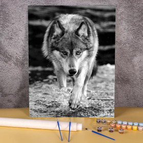 Kit de peinture par numero - Loup Sauvage en Noir & Blanc