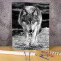 Kit de peinture par numero - Loup Sauvage en Noir & Blanc