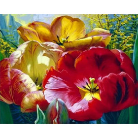 Kit de peinture par numero - Bouquet de Coquelicots | Passion Rouge