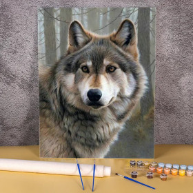 Kit de peinture par numero - Portrait du Loup Gris au Regard Intense