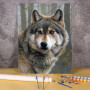 Kit de peinture par numero - Portrait du Loup Gris au Regard Intense