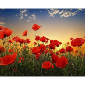 Kit de peinture par numero - Coquelicots au Vent | Danse Poétique