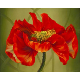 Kit de peinture par numero - Coquelicots Impressionnistes | Hommage à Monet