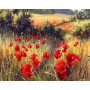 Kit de peinture par numero - Coquelicots Sauvages | Liberté Écarlate