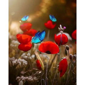 Kit de peinture par numero - Coquelicots et Papillons | Valse Printanière