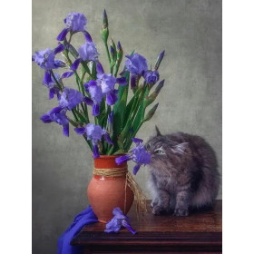 Kit de peinture par numero - Kit Chat Persan et Iris | Tableau DIY Facile et Relaxant