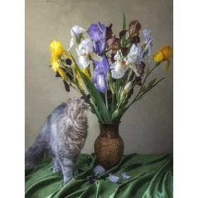 Kit de peinture par numero - Chat Persan Rêveur et Iris Multicolores | Tableau DIY Poétique et Inspirant