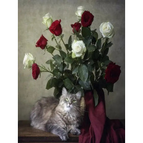 Kit de peinture par numero - Chat Rêveur et son Grand Bouquet de Roses Rouges