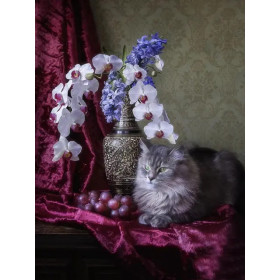 Kit de peinture par numero - Tableau Chat Persan et Orchidées Bleues