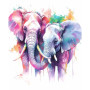 Kit de peinture par numero - Couple d'Éléphants Aquarelle