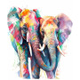 Kit de peinture par numero - Duo d'Éléphants Arc-en-ciel