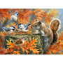 Kit de peinture par numero - Écureuil et Oiseaux Festin d'Automne