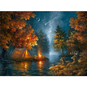 Kit de peinture par numero - Nuit Étoilée Le Camp des Cerfs