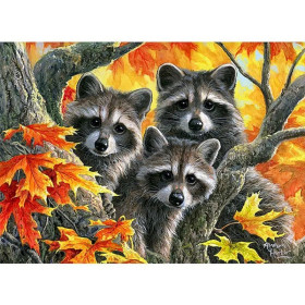 Kit de peinture par numero - Ratons Laveurs Trio d'Automne