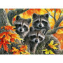 Kit de peinture par numero - Ratons Laveurs Trio d'Automne