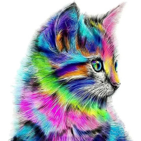 Kit de peinture par numero - Chat Arc-en-Ciel Tableau Félin Coloré