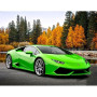 Kit de peinture par numero - Lamborghini Verte en Automne