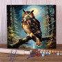 Kit de peinture par numero - Le Hibou Sentinelle de la Forêt Lunaire