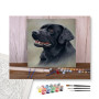 Contenu du kit - Labrador Noir au Regard Noble