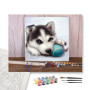 Contenu du kit - Chiot Husky Joueur à la Balle Bleue