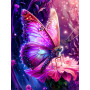 Kit de peinture par numero - Papillon Féérique
