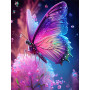Kit de peinture par numero - Papillon Irisé