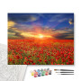 Contenu du kit - Champ de Coquelicots | Ambiance Champêtre