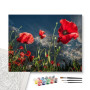 Contenu du kit - Coquelicots Sauvages | Liberté Florale