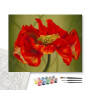 Contenu du kit - Coquelicots Impressionnistes | Hommage à Monet